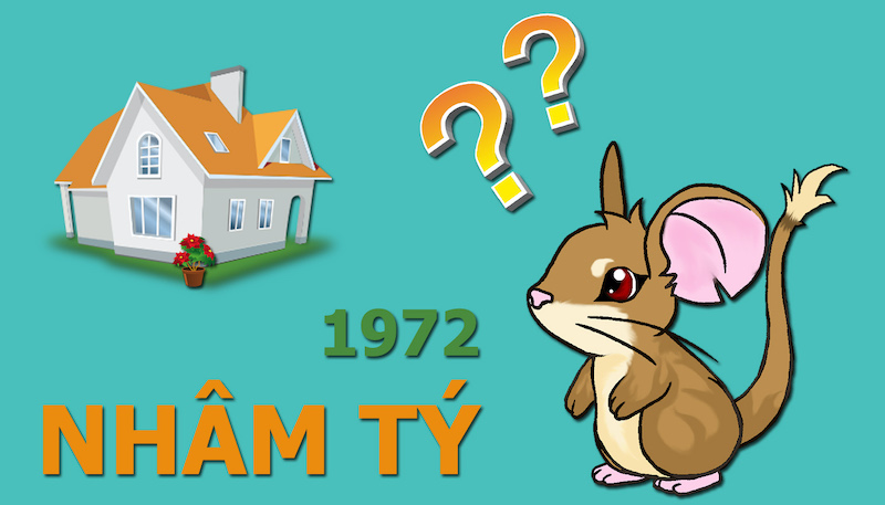 Tuổi Nhâm Tý hợp màu gì 